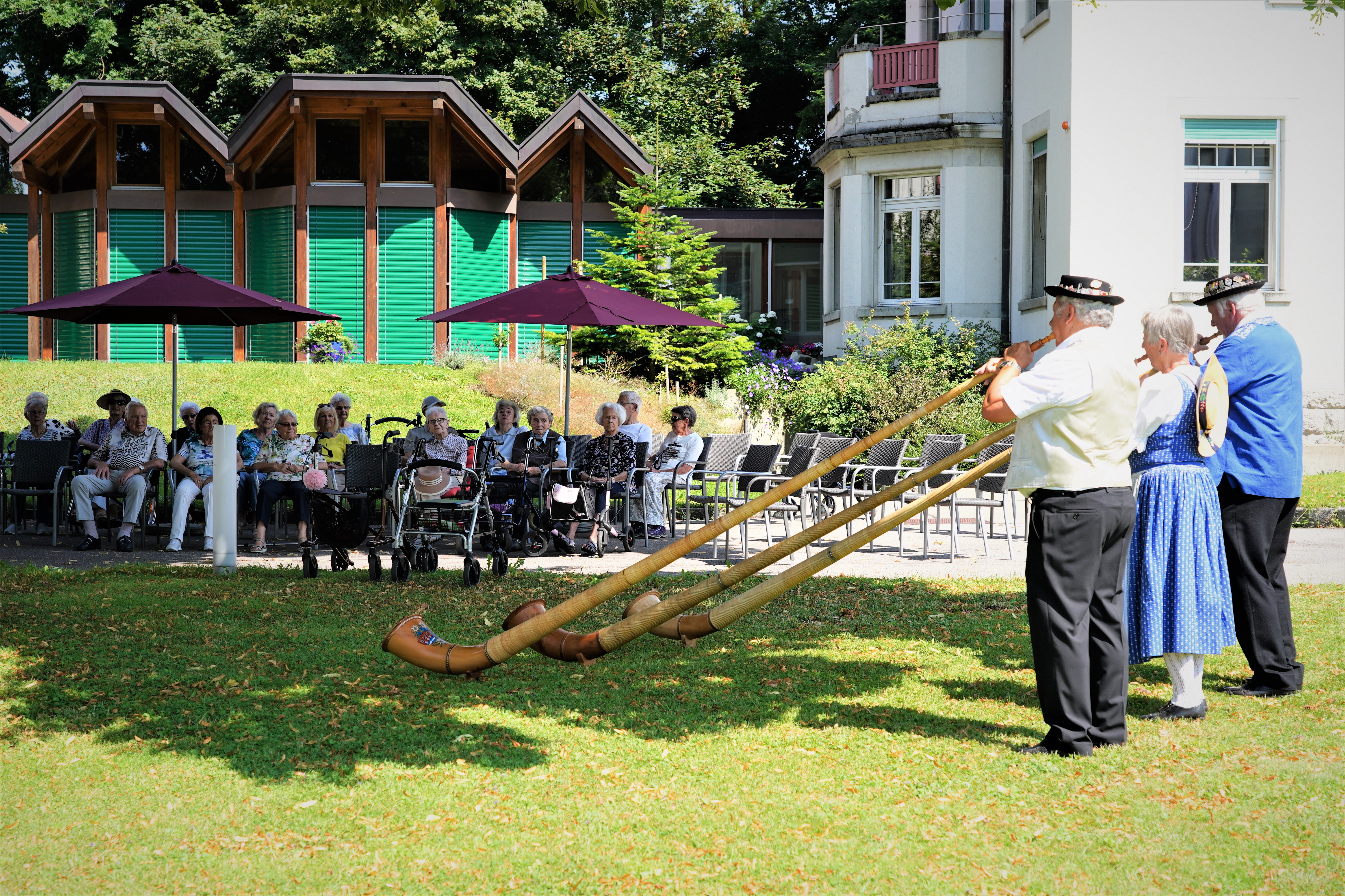 Alphorn Ständchen unter der Linde